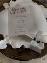 Vellum Wedding Invites - Image 13